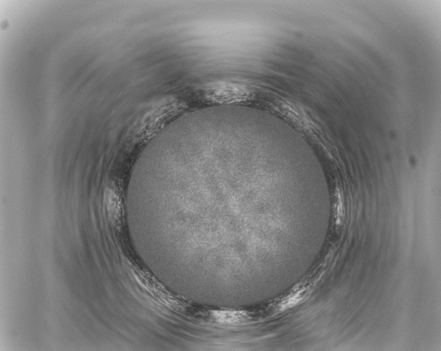 X0000059040371200510101016