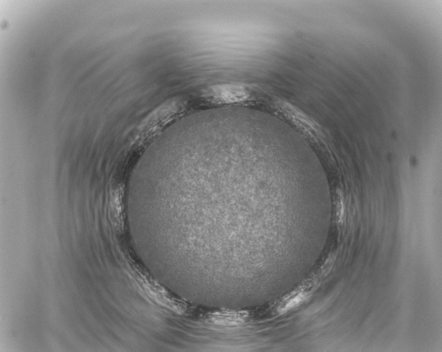 X0000059040373200510101016