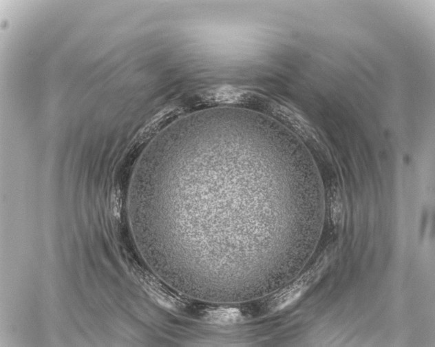 X0000059040374200510101016