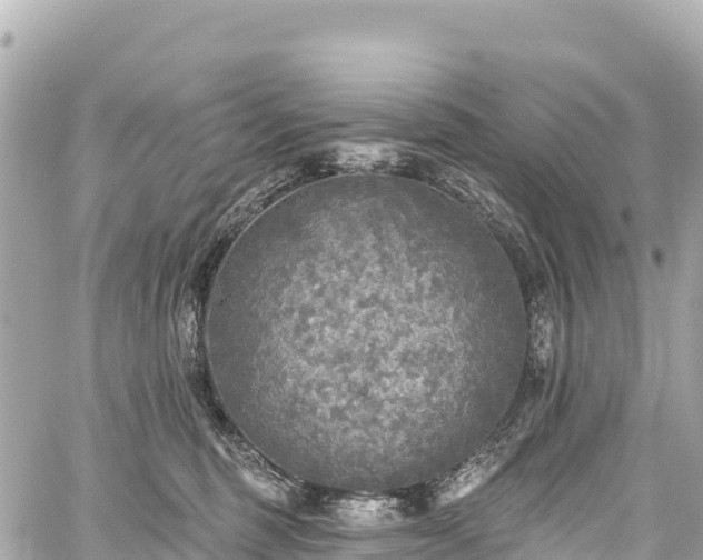 X0000059040375200510101016