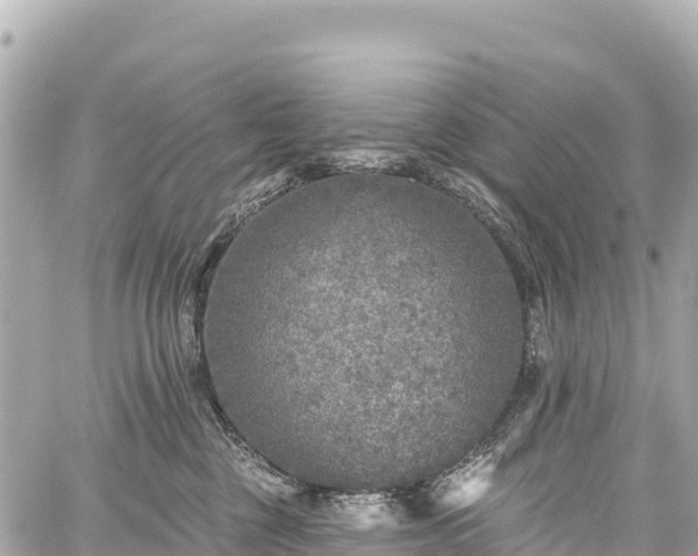 X0000059040377200510101016