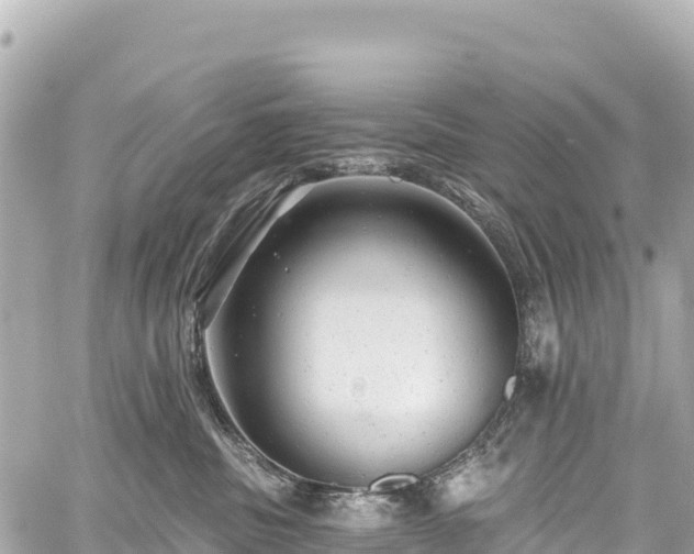 X0000059040379200510101016