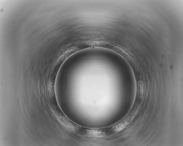 X0000059040380200510101016