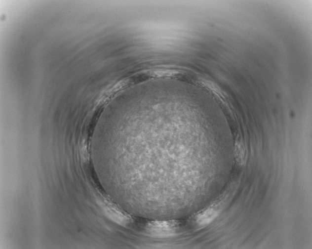 X0000059040381200510101016