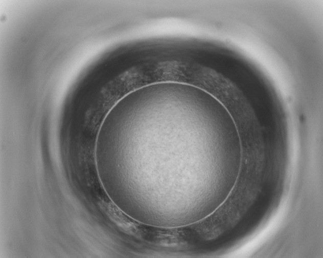 X0000059040382200510101016