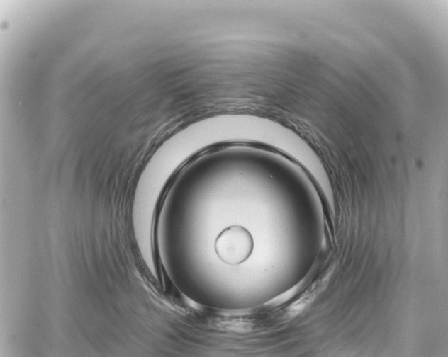 X0000059040383200510101016