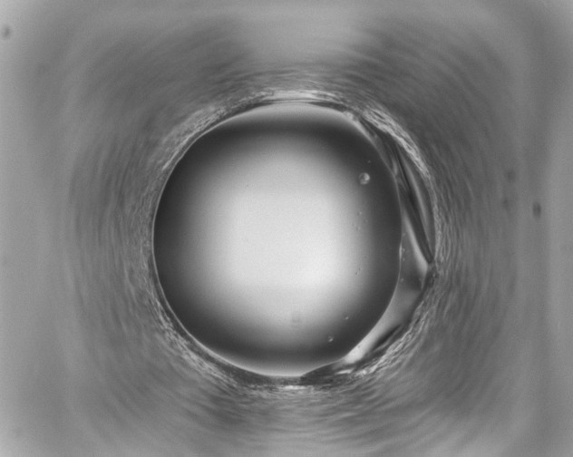 X0000059040385200510101015