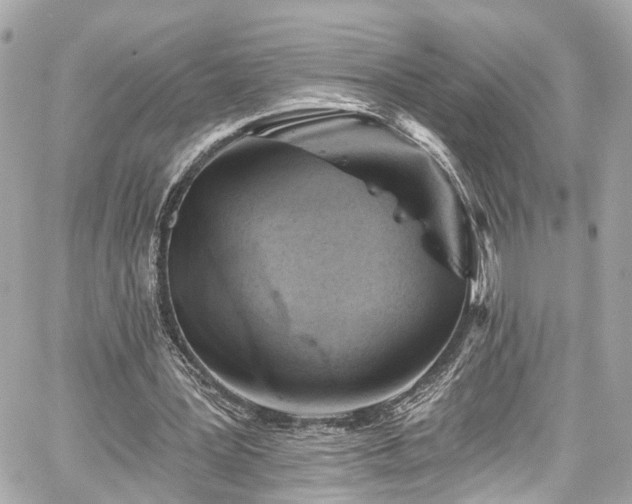 X0000059040387200510101015