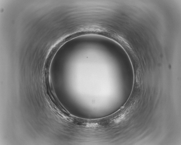 X0000059040388200510101015