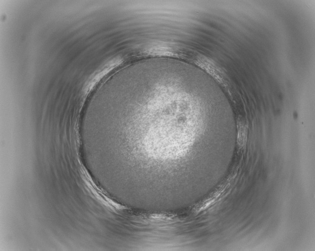 X0000059040390200510101015