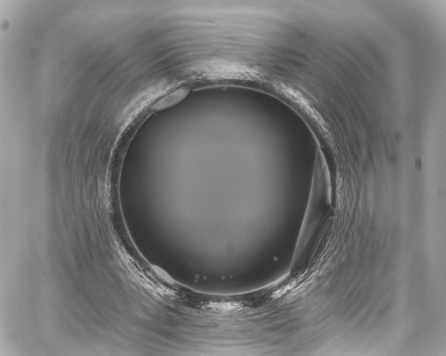 X0000059040391200510101015