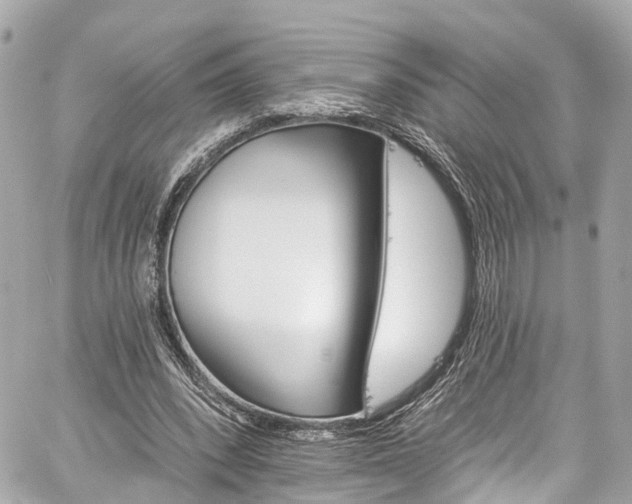 X0000059040392200510101015