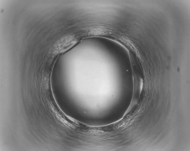 X0000059040393200510101015