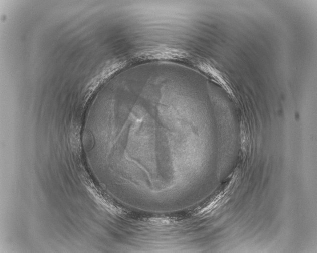 X0000059040394200510101015