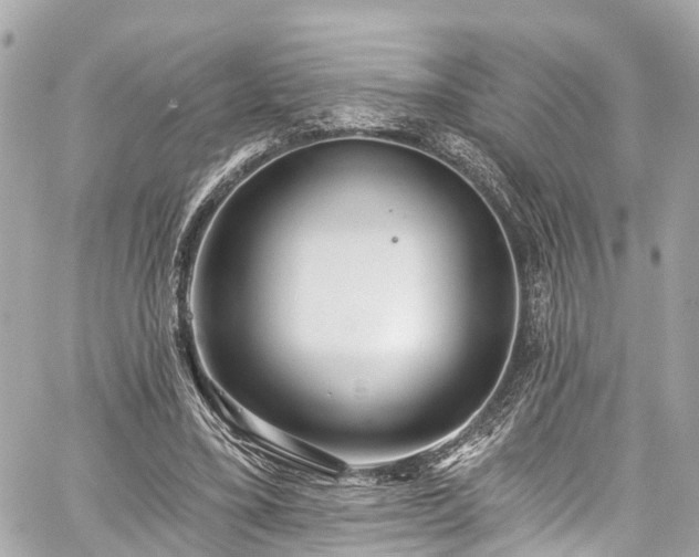 X0000059040395200510101015