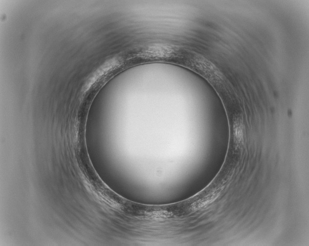 X0000059040396200510101015