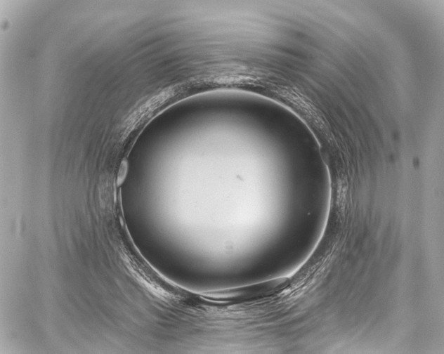 X0000059040397200510101015