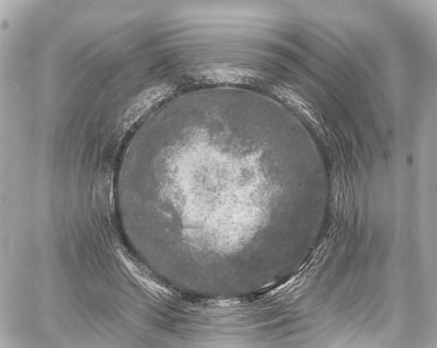 X0000059040398200510101015