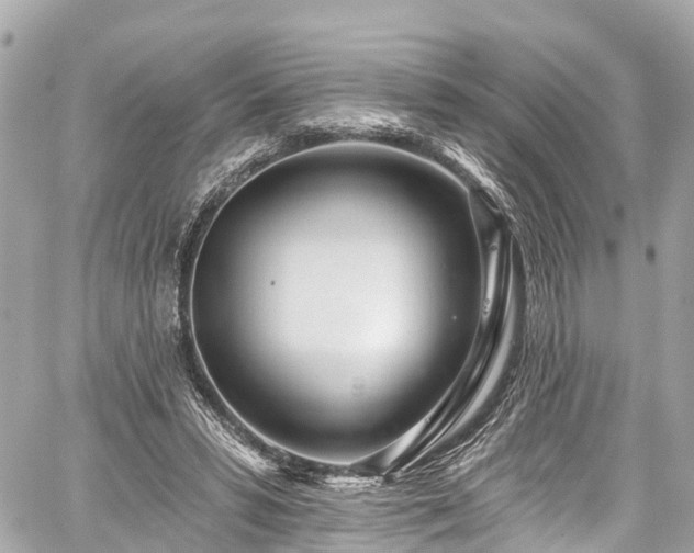 X0000059040399200510101015