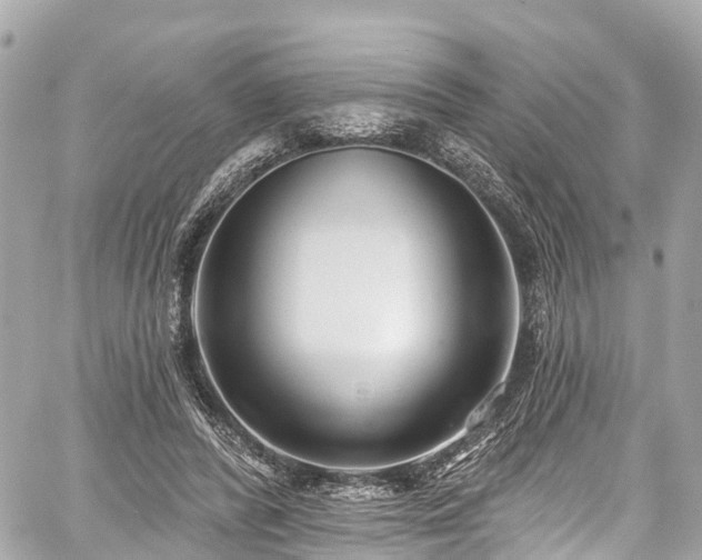 X0000059040400200510101015