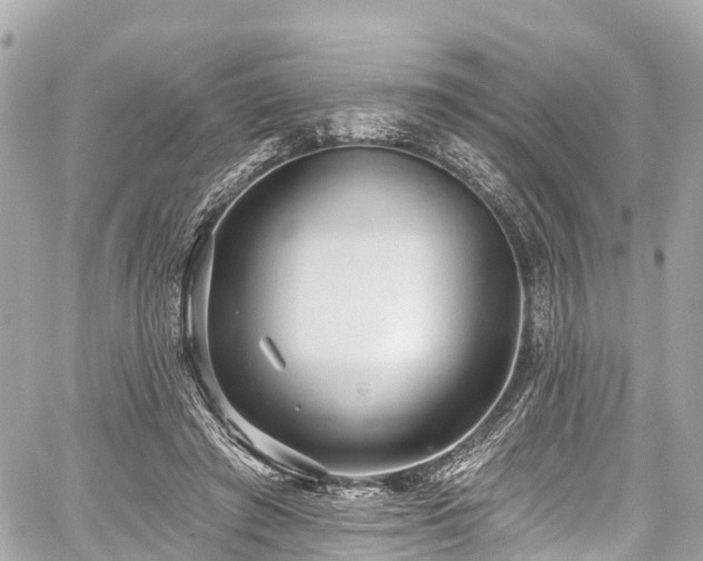 X0000059040401200510101015