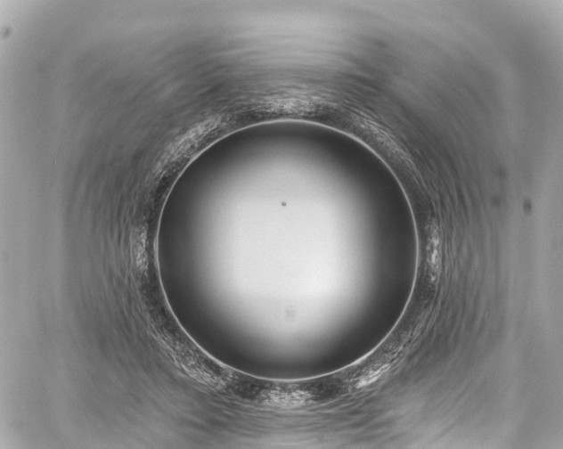 X0000059040403200510101015