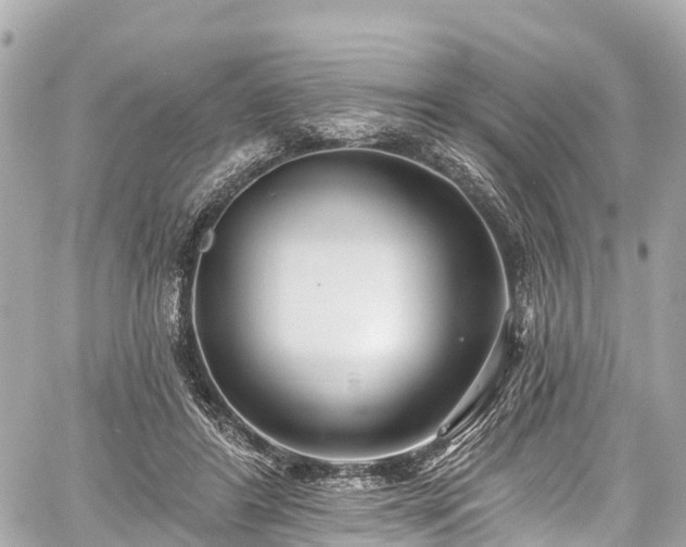 X0000059040404200510101015