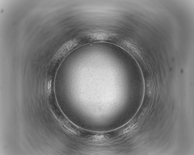 X0000059040406200510101015