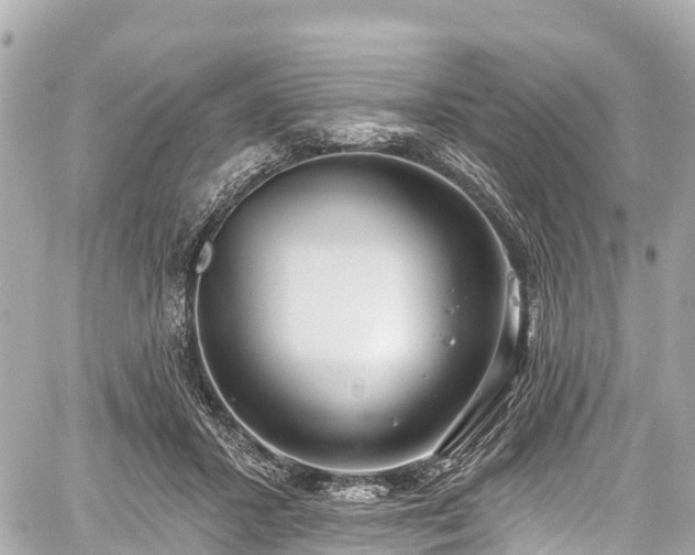 X0000059040407200510101015