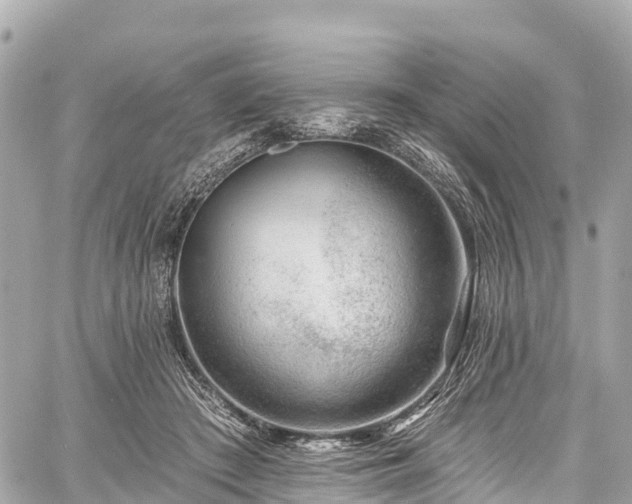 X0000059040409200510101015