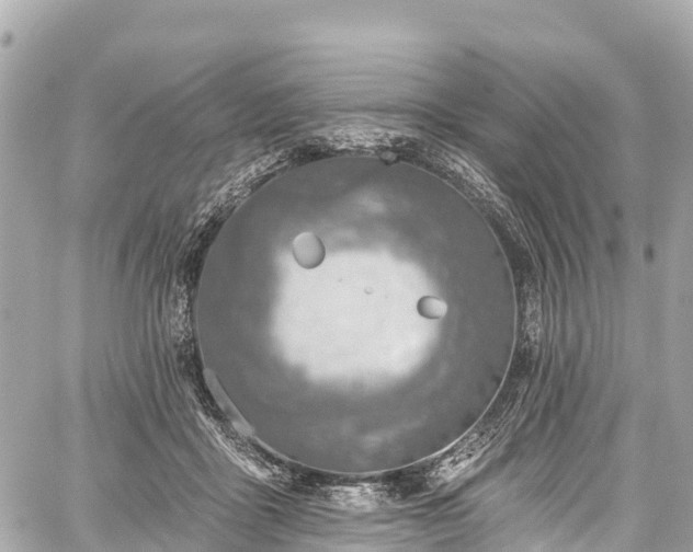 X0000059040411200510101015