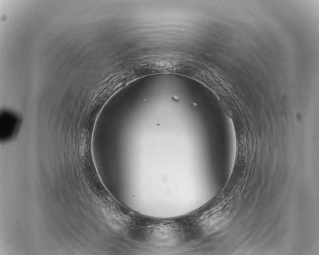 X0000059040412200510101015