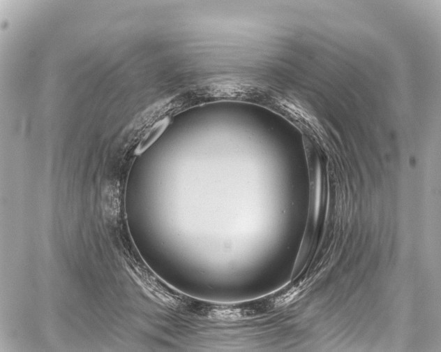 X0000059040413200510101015