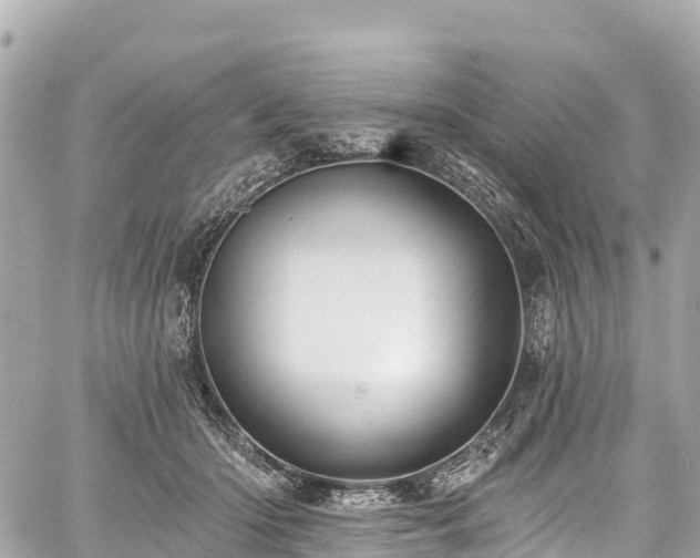 X0000059040414200510101015