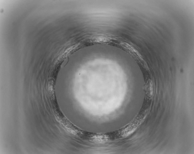 X0000059040415200510101015