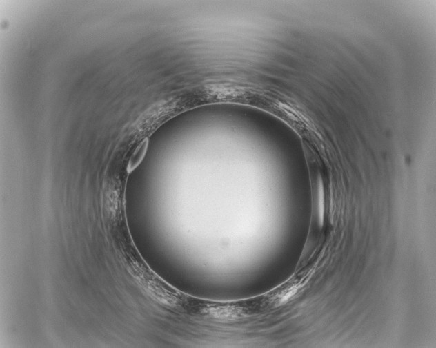 X0000059040417200510101015