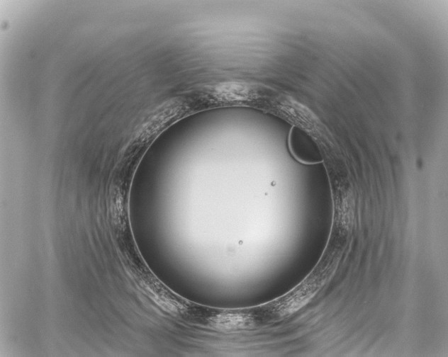 X0000059040418200510101015