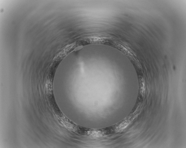 X0000059040419200510101015