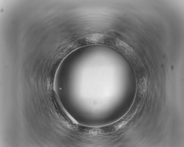 X0000059040420200510101015