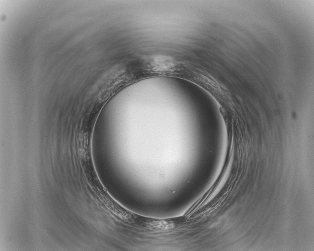 X0000059040421200510101015