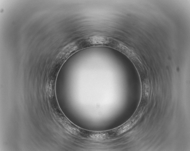 X0000059040422200510101015