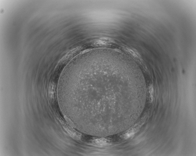 X0000059040423200510101015