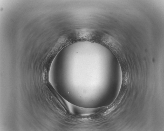 X0000059040424200510101015