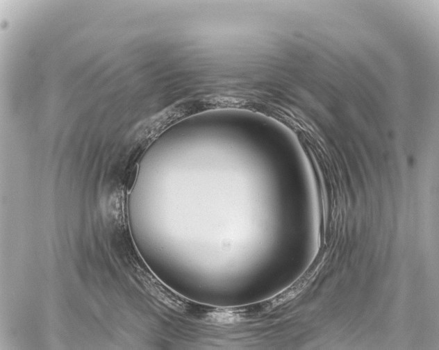 X0000059040425200510101015