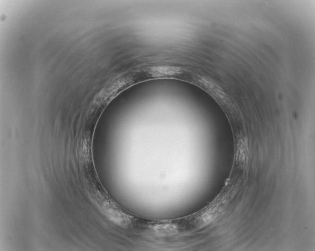 X0000059040426200510101015