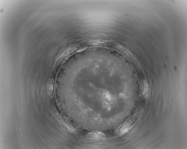 X0000059040427200510101015