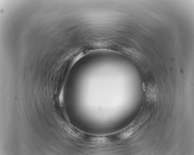 X0000059040428200510101015