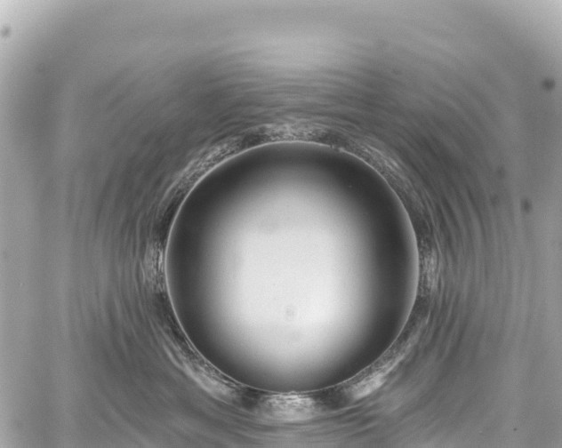 X0000059040429200510101015