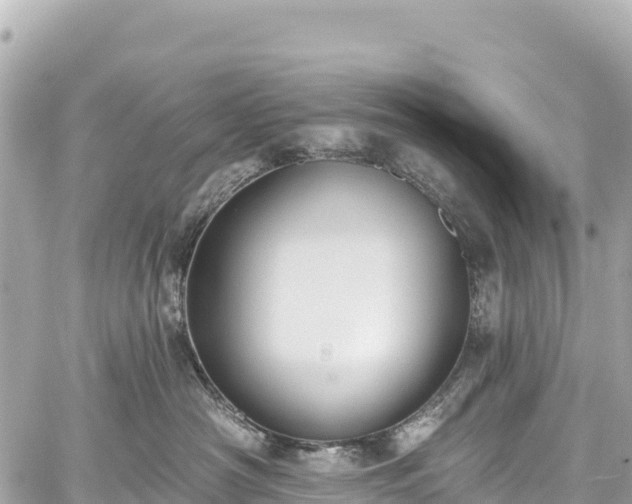 X0000059040430200510101015