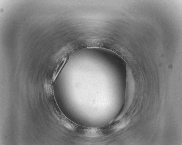 X0000059040432200510101015